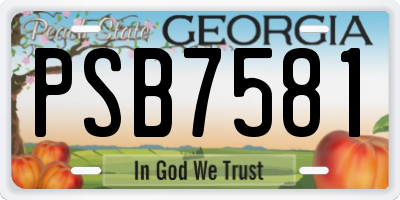 GA license plate PSB7581