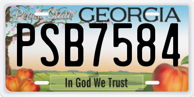 GA license plate PSB7584