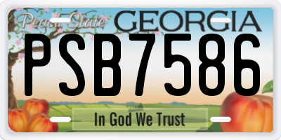 GA license plate PSB7586