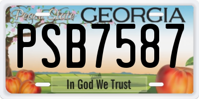 GA license plate PSB7587