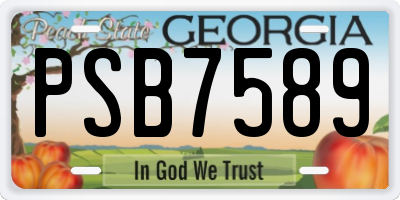GA license plate PSB7589