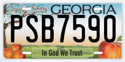 GA license plate PSB7590