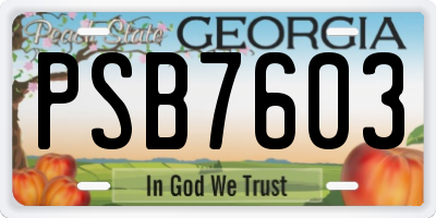GA license plate PSB7603