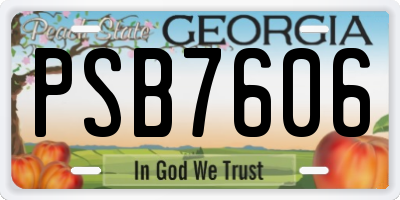 GA license plate PSB7606