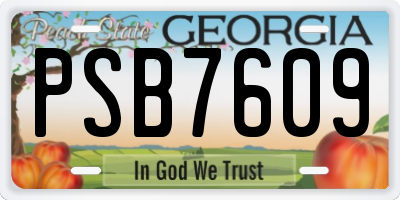 GA license plate PSB7609