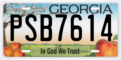 GA license plate PSB7614