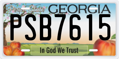 GA license plate PSB7615