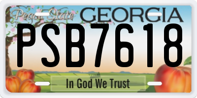 GA license plate PSB7618