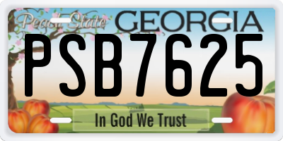 GA license plate PSB7625