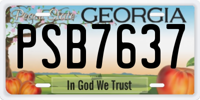 GA license plate PSB7637