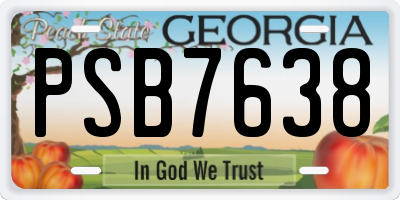 GA license plate PSB7638