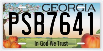 GA license plate PSB7641