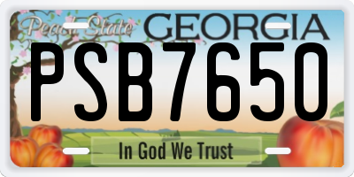 GA license plate PSB7650