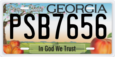 GA license plate PSB7656