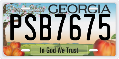 GA license plate PSB7675