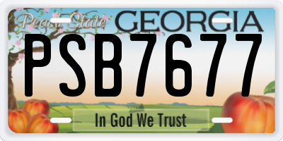 GA license plate PSB7677