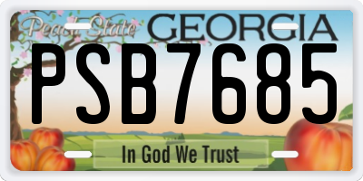 GA license plate PSB7685