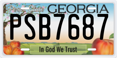 GA license plate PSB7687