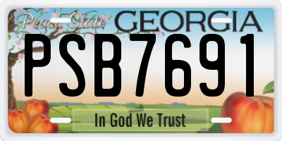 GA license plate PSB7691