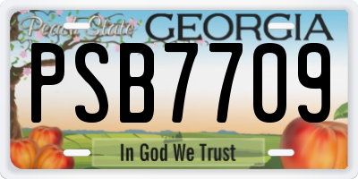 GA license plate PSB7709