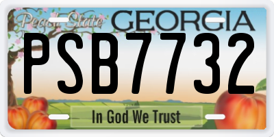 GA license plate PSB7732