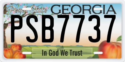 GA license plate PSB7737
