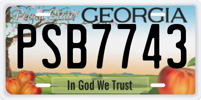 GA license plate PSB7743