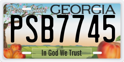 GA license plate PSB7745
