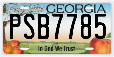 GA license plate PSB7785