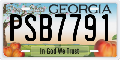 GA license plate PSB7791