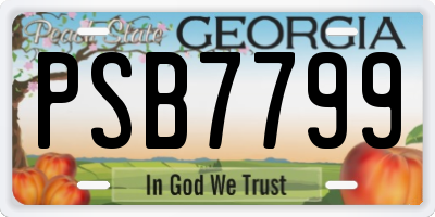 GA license plate PSB7799