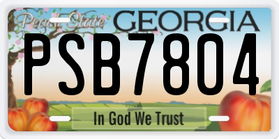 GA license plate PSB7804