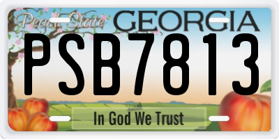 GA license plate PSB7813