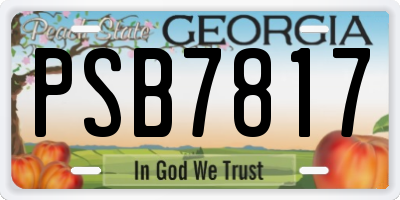 GA license plate PSB7817