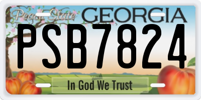 GA license plate PSB7824