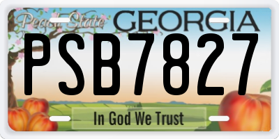 GA license plate PSB7827