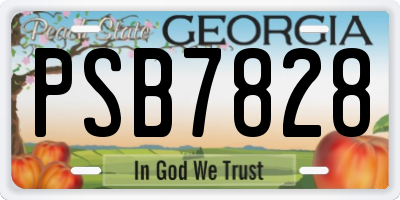 GA license plate PSB7828