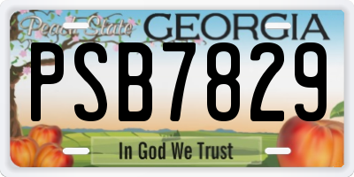 GA license plate PSB7829