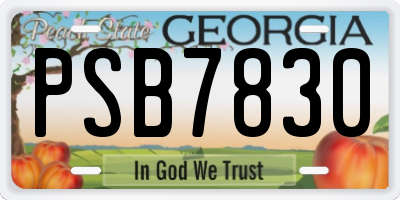 GA license plate PSB7830