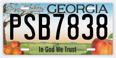 GA license plate PSB7838