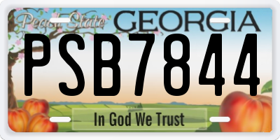 GA license plate PSB7844