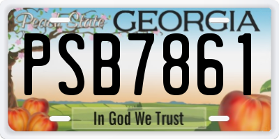 GA license plate PSB7861