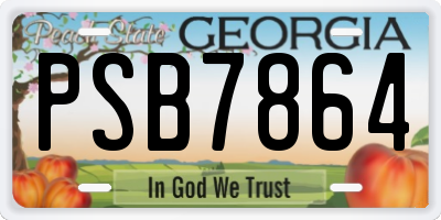 GA license plate PSB7864