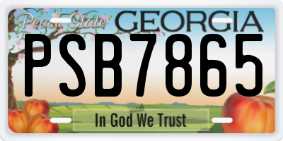 GA license plate PSB7865