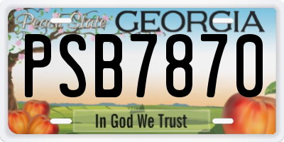 GA license plate PSB7870