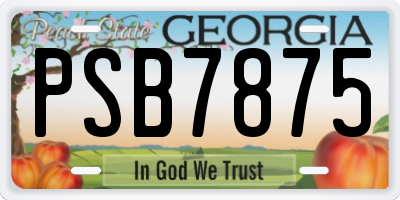 GA license plate PSB7875