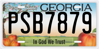GA license plate PSB7879
