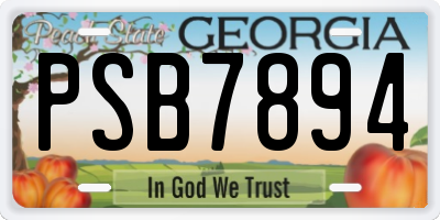 GA license plate PSB7894