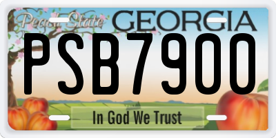 GA license plate PSB7900