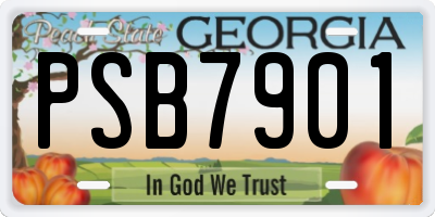 GA license plate PSB7901
